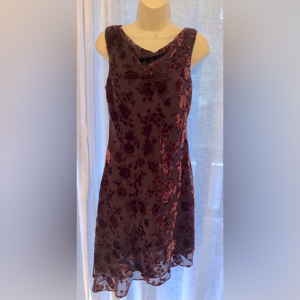 Donna Ricco size 6P, velvet gorgeousness